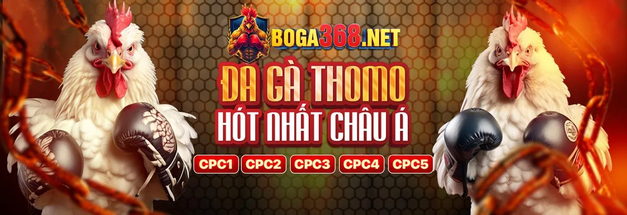 Đá Gà Trực Tuyến 12vegas - Các trận đấu gà chọi kịch tính