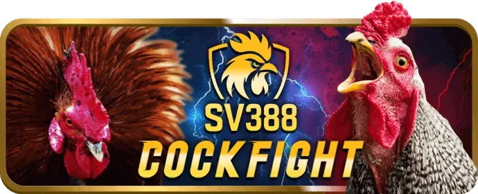 Đội ngũ hỗ trợ khách hàng 24/7 của 12vegas
